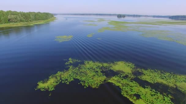 Pozpátku letící nad deltě řeky. — Stock video