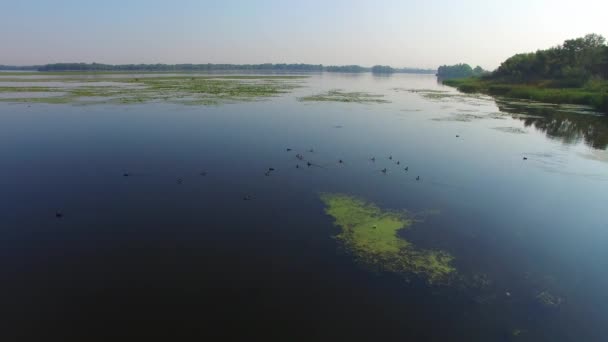 Panorama du delta du grand fleuve le matin — Video