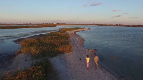 Szczęśliwa para z psem, biegnącej wzdłuż plaży — Wideo stockowe