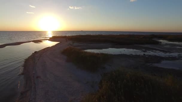 Romantische koppel aan de kust van de zee — Stockvideo