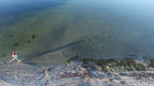 Homme courant dans le surf le long de la plage de sable — Video