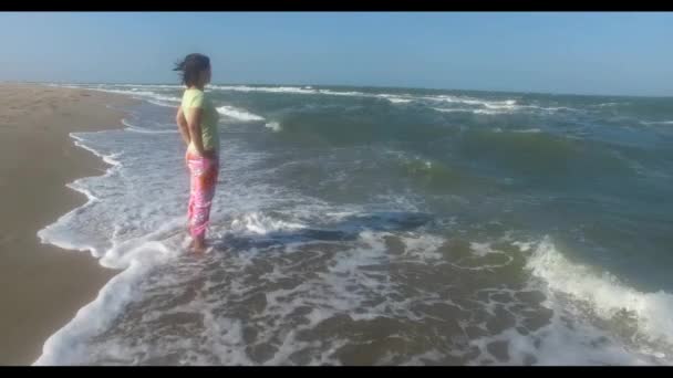 Серфер чекає хвилю на пляжі у вітряний сонячний день — стокове відео