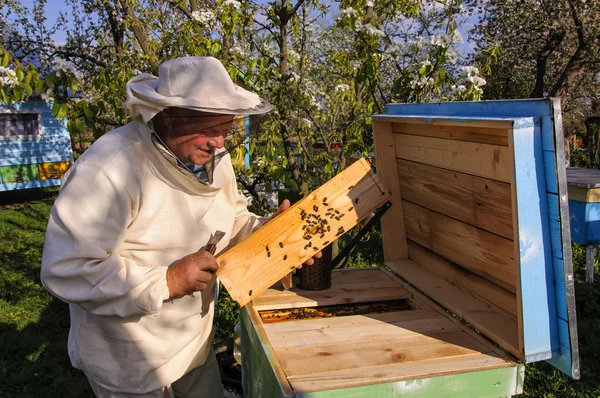 Imker öffnet den Bienenstock — Stockfoto