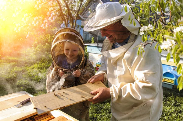 Imker-Opa und Enkel begutachten Bienenstock — Stockfoto