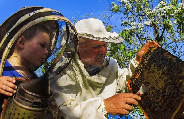 Imker-Opa und Enkel begutachten Bienenstock — Stockfoto