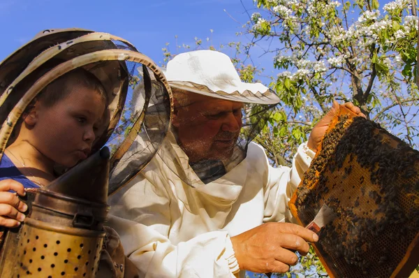 L'apicoltore nonno e nipote esaminano un alveare di api — Foto Stock