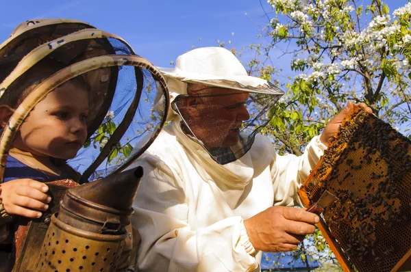 Imker-Opa und Enkel begutachten Bienenstock — Stockfoto