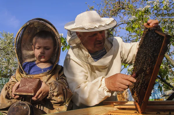 Biodlarens farfar och sonson undersöker en bikupa — Stockfoto