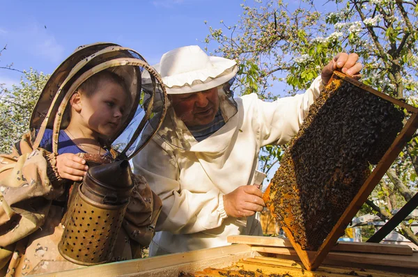 L'apicoltore nonno e nipote esaminano un alveare di api — Foto Stock