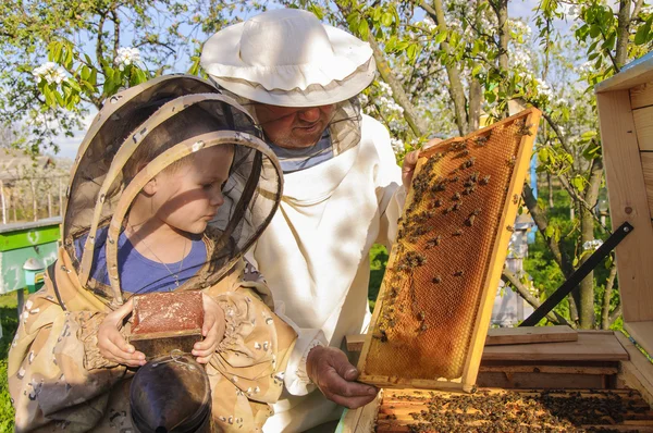 Abuelo apicultor y nieto examinar una colmena de abejas —  Fotos de Stock