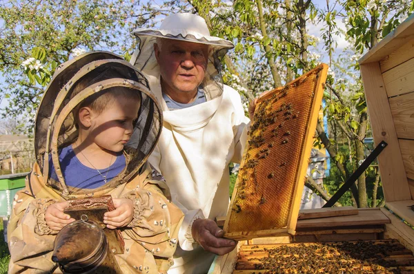 L'apicoltore nonno e nipote esaminano un alveare di api — Foto Stock