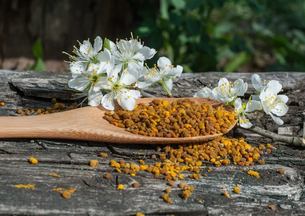 木のスプーンで花粉 — ストック写真