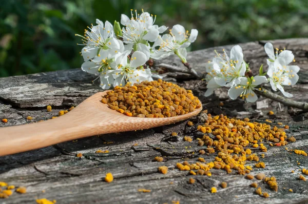 bir tahta kaşık polen