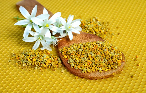 Pollen in a wooden spoon — Stock Photo, Image