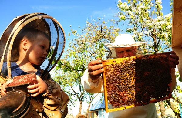 L'apicoltore nonno e nipote esaminano un alveare di api — Foto Stock