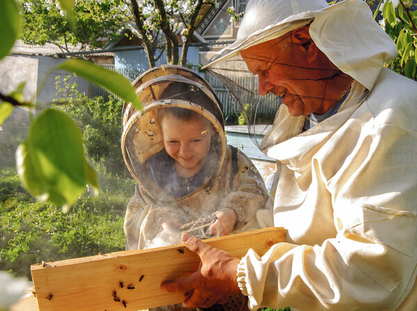 beekeeper grandfather and grandson examine a hive of bees