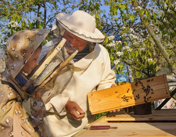 Дід бджоляра і онук оглядають вулик бджіл — стокове фото