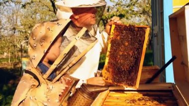 Arıcı büyükbaba ve torun bir arı kovanını inceliyor.