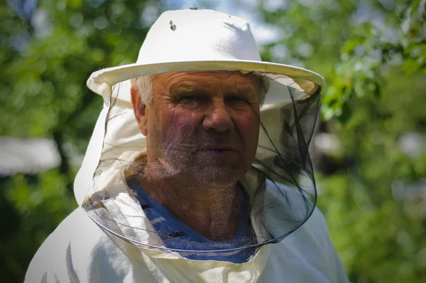 Εργάζεται για το μελισσοκομείο μελισσοκόμος — Φωτογραφία Αρχείου