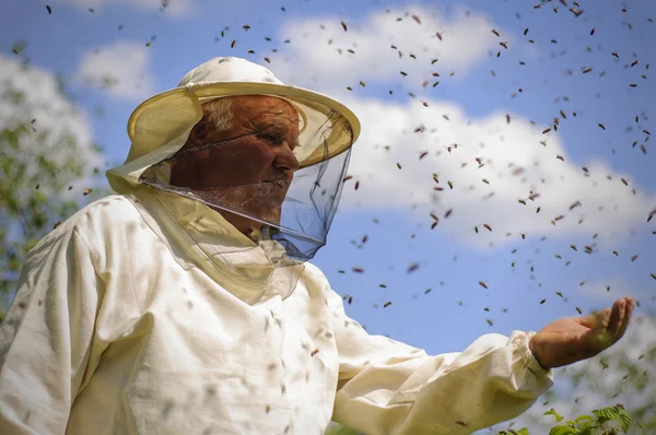 Apicoltore e sciame d'api — Foto Stock