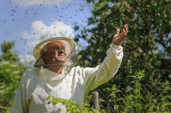 Imker en bijen zwerm — Stockfoto