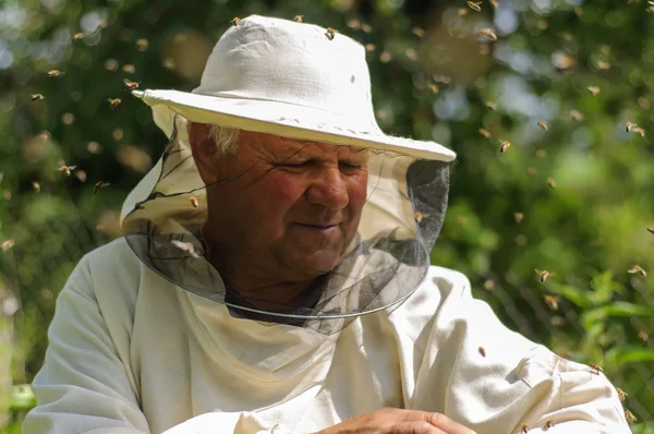 Imker und Bienenschwarm — Stockfoto