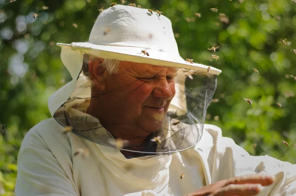 Imker und Bienenschwarm — Stockfoto