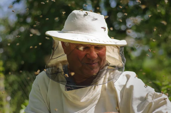 Apicultor e enxame de abelhas — Fotografia de Stock