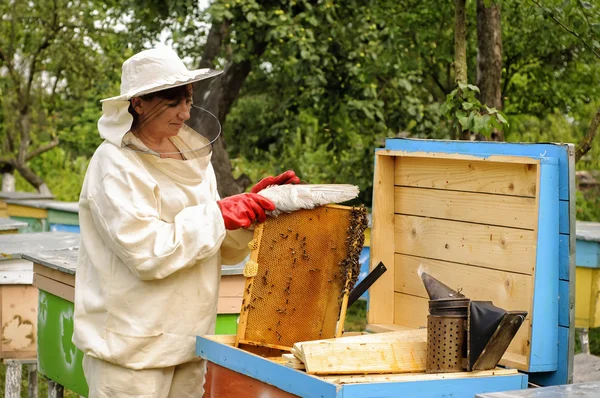Γυναίκα μελισσοκόμος φροντίζει τις μέλισσες — Φωτογραφία Αρχείου