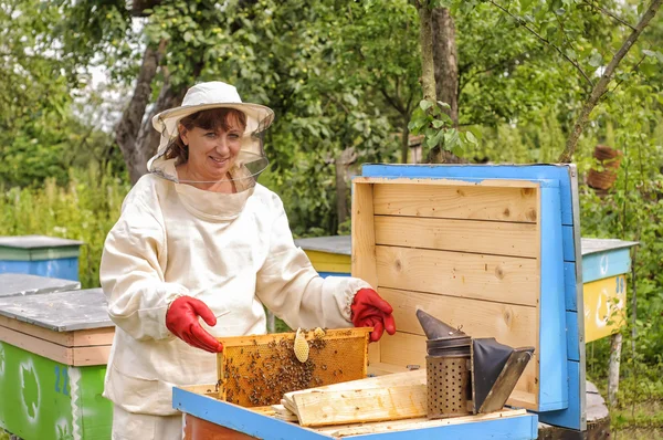 Woman beekeeper looks after bees — Stock Photo, Image