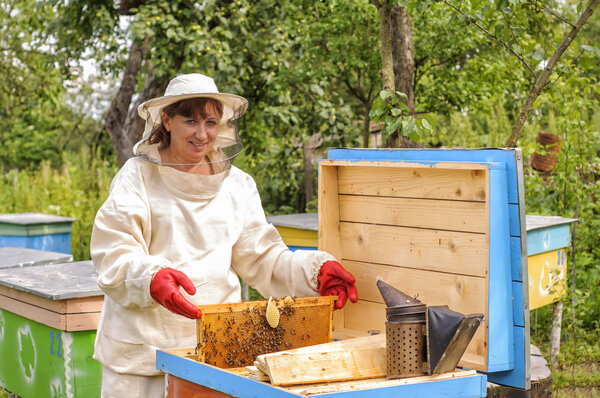 woman beekeeper looks after bees