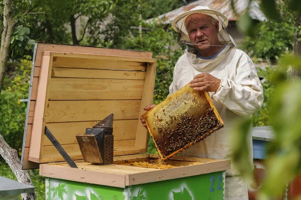 De imker werkt met bijen en bijenkorven op de bijenstal. — Stockfoto
