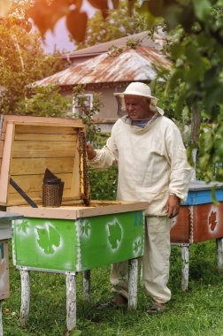 Arı yetiştiricisi arılarla ve arı kovanlarıyla çalışıyor.