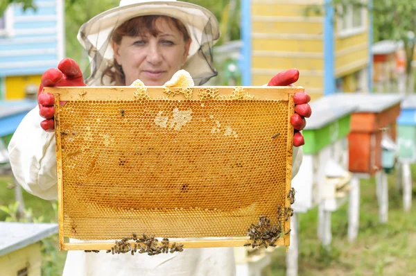 Včelař drží rám plástve s včelami — Stock fotografie