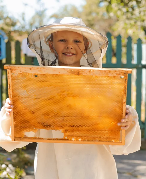 Jonge imker jongen holding frame van honingraat — Stockfoto
