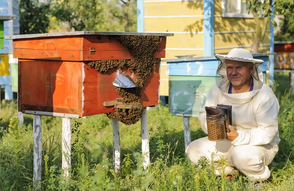 Imker inspiziert Bienenstock der Bienen — Stockfoto