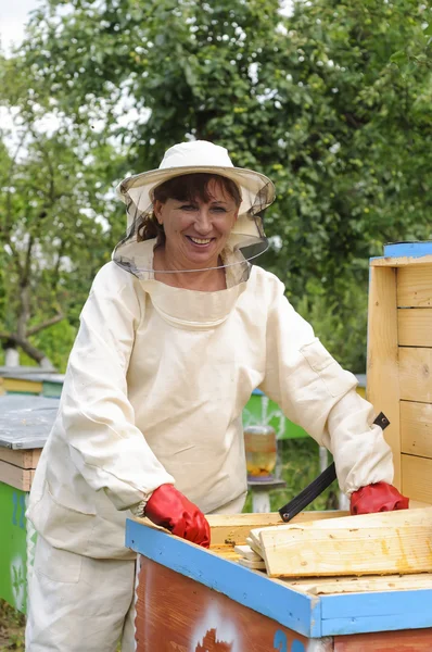 女人养蜂人照顾蜜蜂 — 图库照片