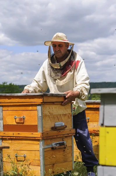 De imker werkt met bijen en bijenkorven op de bijenstal. — Stockfoto