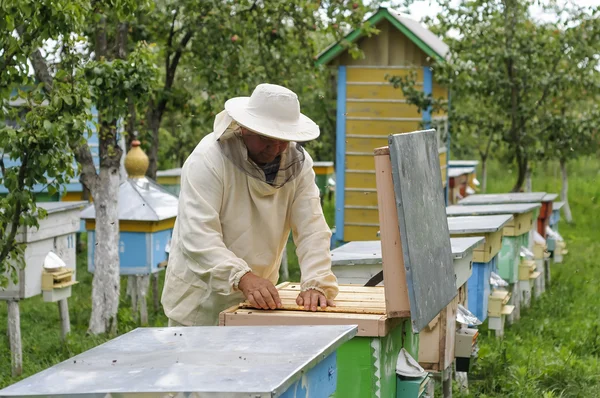 Imker arbeitet mit Bienen und Bienenstöcken am Imkerstand — Stockfoto