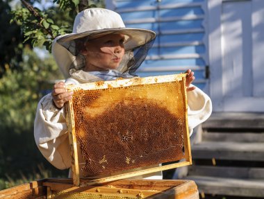 Petek çerçevesinde tutan genç arıcı çocuk