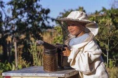 Young beekeeper boy using a smoker on bee yard clipart