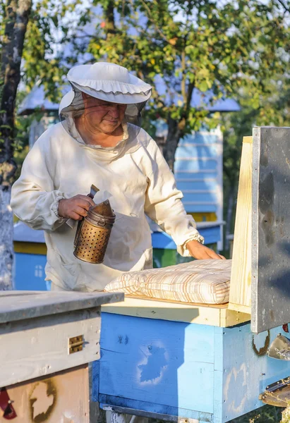 De imker werkt met bijen en bijenkorven op de bijenstal.. — Stockfoto