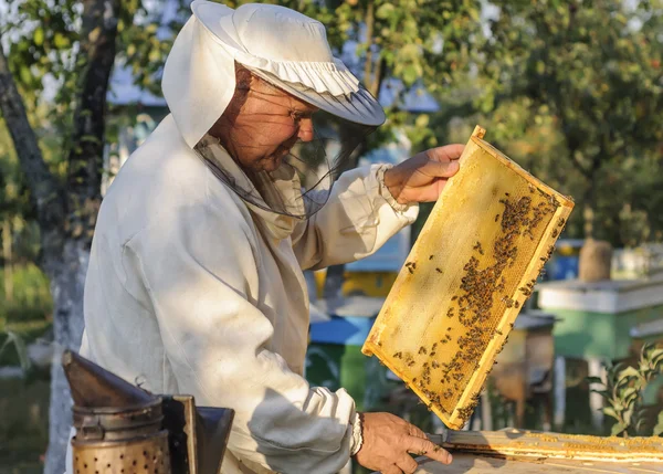 Imker arbeitet mit Bienen und Bienenstöcken am Imkerstand. — Stockfoto