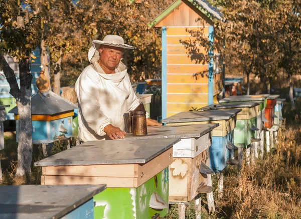 Portrét včelaře o včelařství — Stock fotografie
