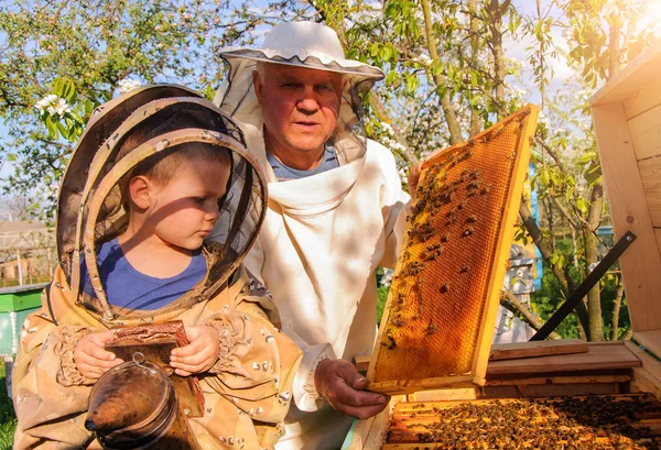 Nonno apicoltore passa la sua esperienza piccolo nipote . — Foto Stock