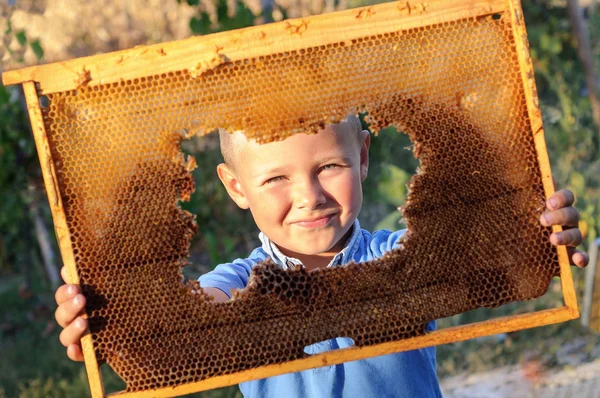 Lachende jongen holding frame van honingraat — Stockfoto