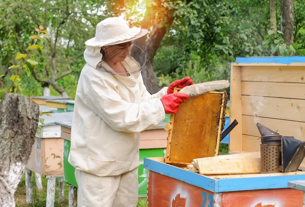 Γυναίκα μελισσοκόμος επιλέγει χτένα μέλι για την αποστράγγιση — Φωτογραφία Αρχείου