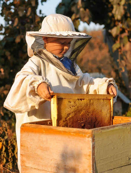 Kleiner Imkerjunge arbeitet am Bienenstock — Stockfoto