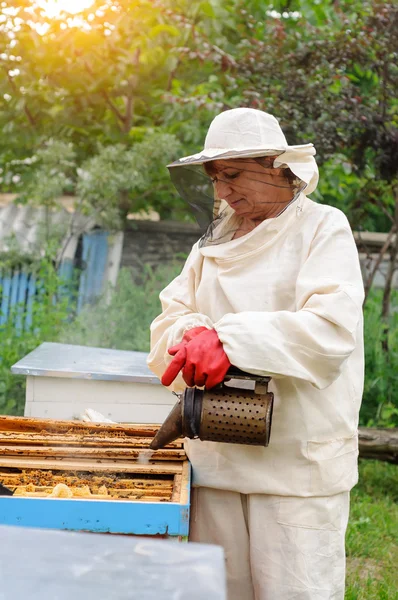 Γυναίκα μελισσοκόμος φροντίζει τις μέλισσες — Φωτογραφία Αρχείου
