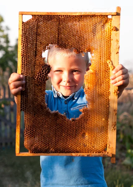 Lachende jongen holding frame van honingraat — Stockfoto